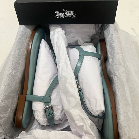 Coach Blue T-Strap Sandals with Metallic Detail - Picture 10 of 10